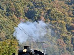 ＳＬと紅葉の景色を求めて、秩父鉄道乗り鉄の旅！