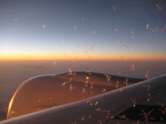 初めてのカナダ・バンクーバー♪♪～１日目～