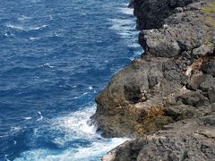 またまた沖縄行ってきた！＜残波岬→ビオスの丘→北谷＞