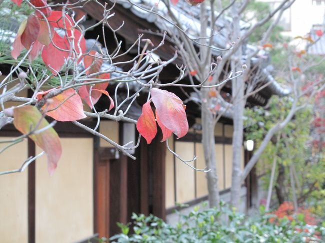 紅葉を楽しみに久しぶりの京都へ.....タクシーの運転手さんに「まだまだ紅葉は見れますね？」と聞くと、意外な答えが「ピークは先週末、前々日からの強風で.....」紅葉が枯れ葉になってしまったと、ガ〜ン！<br /><br />私と家内はお楽しみモードのスイッチを切り替え、「街歩き」を楽しむことにしました。