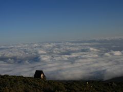 キリマンジャロー４