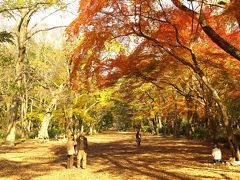 2010年京都　ちょっと遅めの紅葉？の旅　ＰＡＲＴ3（堀川丸太町～糺の森～）