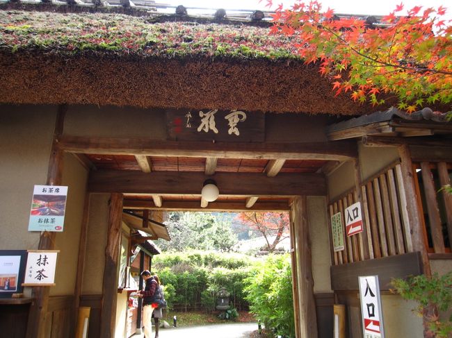 前日の雨で落ちちゃったかも？覚悟の上で行った京都の紅葉狩り。スタートは「宝厳院」