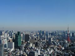 眼下に広がる大東京俯瞰図の中の絶景ポイント、東京スカイツリーの巻