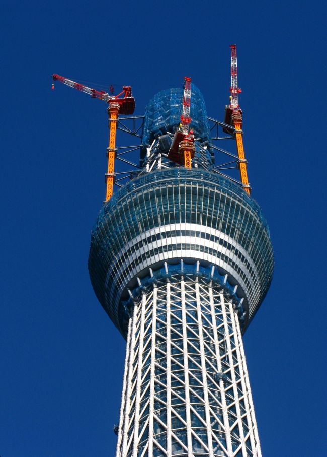 東京スカイツリー 只今497m建設中 ☆東京スカイツリー塔(英称:Tokyo Sky Tree)は東武鉄道並びに東武タワースカイツリーによって東京都墨田区押上に建設中の電波塔(送信所)である。着工当初は高さを610.6mとする計画であったが2009年10月16日に高さが634.0mとなるように計画を変更したため完成すれば電波塔としては世界一、人工の建造物としてはブルジュ・ハリファの828mに次ぐ世界第2位の高さとなる、塔の世界一は広州テレビ・観光塔の600mであるため自立式を問わず、電波塔としてはスカイツリーが世界一になる。2008年7月14日に着工し、2011年冬に竣工。2012年春に開業予定。(http://ja.wikipedia.org/wiki/%E6%9D%B1%E4%BA%AC%E3%82%B9%E3%82%AB%E3%82%A4%E3%83%84%E3%83%AA%E3%83%BC より引用)東京スカイツリーについては・・http://www.skytree-obayashi.com/http://www.tokyo-skytree.jp/http://tokyo-sky-tree.seesaa.net/