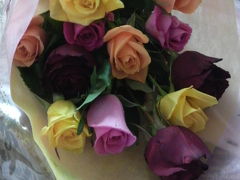 The day of 1 douzen roses。。。