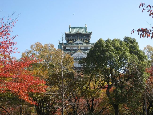 １０月に続き、平成中村座に出かけました。<br />１か月で、大阪城は、すっかり秋です。<br />特設の歌舞伎小屋ならではの屋外の風景をも芝居の中に取り組んだ心憎い演出。<br />それがまた、大阪城と来ています。<br />舞台の奥がオープンになると、こんな風景が広がります。