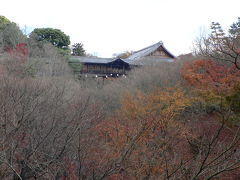 もう冬景色になっていた京都≪東福寺≫