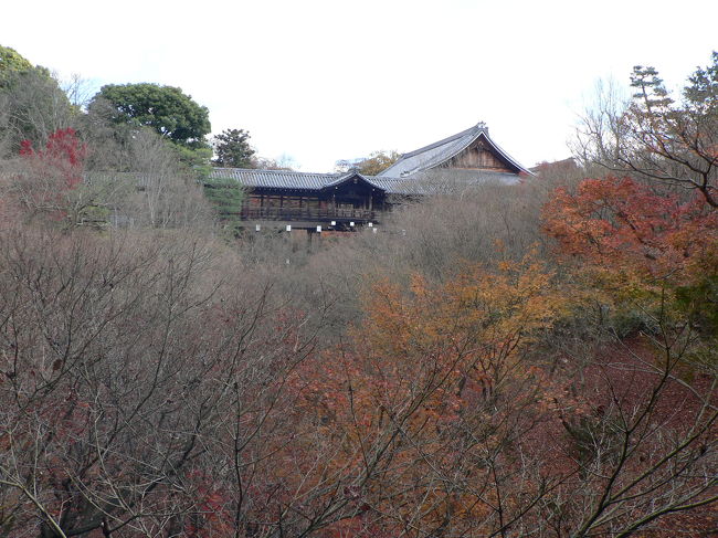 なんだか忙しい11月とうとう京都の紅葉を見ることが出来なくて、気晴らしに京都に出かけてみました.ふらふらと散歩・・・<br />京都は寂しい時も又似合う・・・・・・・ぽこっと穴が空いたように秋がどこかに行ってしまい.冬景色になっていた。<br />そんな東福寺の残りもみじを・・・・・・・・・<br />これもいいもんだ・・・・・・・・<br /><br />パソコンも調子の悪いままなので、久々に開きました・・・・・なかなかパソコンも見る時間もなく､遊ぶことも出来なくて､でもでも沢山の方が訪問していて下さっていて、うれしかったなーーーー<br />ありがたいなーーーー力頂きました＾０＾・・・・・・・ありがとうございます＾−＾