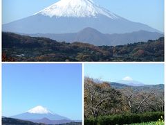 湘南二宮を歩く