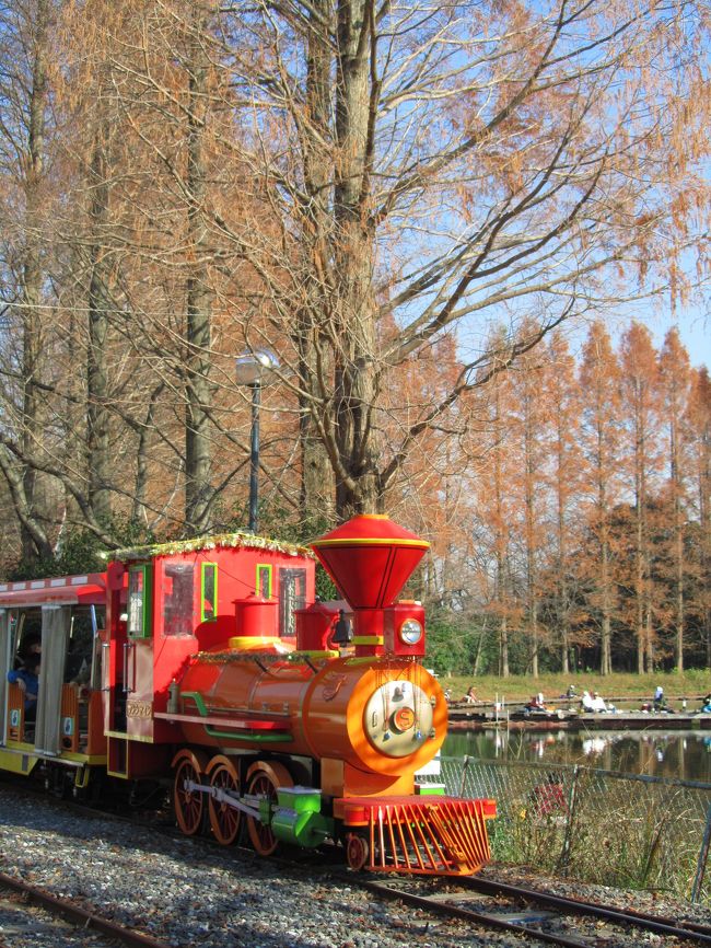 動物園も遊園地もイルミネーションもある盛りだくさんの東武動物公園。<br />去年2009年の年末にたっぷり撮影散策を楽しんで、また来年も行こうと思いました。<br />そしてイルミネーションがセカンドシーズン「夏」を迎える今年2010年も、ついにやって来ました。<br />待ちきれなくて去年より早めかも？<br />２度目だけど、ぶっ続けで６時間、バッチリ楽しんできました。<br /><br />動物園も遊園地もイルミネーションもあるといっても、１人で撮影のためにやって来た私には、遊園地には用はないと思っていました。<br /><br />東武動物公園駅からアクセスすると、遊園地のある東ゲート側から入園することになります。<br />去年は動物園最寄りまで園内バスを利用しました。<br />でも、乗っている最中、この距離ならバスに乗らなくても徒歩で十分だと思いました。<br />イルミネーション会場は遊園地側なので、実際、去年、動物園散策を終えた後、イルミネーションを見ながら遊園地を歩いて抜けました。<br /><br />去年乗った園内バスの写真<br />http://4travel.jp/traveler/traveler-mami/pict/17916442/<br />関連の旅行記<br />「きっかけはイルミネーション！───はじめての東武動物公園（1）１番目当てはホワイトタイガーだけど@」<br />http://4travel.jp/traveler/traveler-mami/album/10412696/<br /><br />天気が良くて、12月上旬の平均気温よりも高いぽかぽか陽気の日中。<br />遊園地内はさほど混雑せず、歩きやすく、気持ちのよい散策ができました。<br />そういうときには、写欲が高まって、意図せずとも魅力ある被写体にたくさん出会えるものです。<br />白鳥の池の並木などにイルミネーションのコードが巻きついているのを目にして、夜の光景を思い浮かべながら昼間の光景を写真に収めるのも悪くないと思ったりして、撮影にさらにはずみがつきました。<br /><br />私にとって用はないと思っていた遊園地内の散策約30分。<br />１つの旅行記にまとめるにはあふれるほどの写真がゲットできました。<br />というわけで、イルミネーションを１番目当てにやって来た２度目の東武動物公園めぐりの写真は、次の４つの旅行記に分けました。<br /><br />■（1）遊園地をのんびり歩いて動物園へ＆可愛いものがたくさんのショップ<br />□（2）サバンナの動物たち<br />□（3）お食事タイムのホワイトタイガーとレッサーパンダ他<br />□（4）ウィンターイルミネーション・セカンドシーズン“夏”<br /><br />この旅行記では、昼の遊園地内で撮った写真に加えて、園内のショップで撮影した写真も収めました。<br />東武動物公園にはおどろくほどたくさんのオリジナルのお菓子があって、そのパッケージを見ているだけでも楽しかったものですから。<br />お菓子は、おみやげも含めて、「パンダは冬眠しないんです」、「ホワイトタイガー・アーモンドフロロランタン」、そして缶目当てに去年と同じくいちご＆ミルクチョコの「ツインクランチ」の３種類も買ってしまいました。<br />撮影をしながら気分がますます高揚し、ぜひこの気分をおみやげとともに友人に分けたいと思ってしまったせいで、財布のヒモがつい緩んでしまったようです。<br /><br />＜タイムスケジュール＞<br />11:15　家を出る<br />12:40　東武動物公園駅に到着<br />13:00　東武動物公園に東ゲートから入園<br />13:00〜13:35　遊園地を突っ切って動物園へ<br />13:35〜16:00　動物園散策<br />16:30〜17:10　イルミネーション会場の遊園地へ戻る＆ショッピング<br />17:10〜19:00　イルミネーション撮影散策<br />19:20　東武動物園を出る<br /><br />＜東武動物公園デビューの去年の旅行記＞<br />「きっかけはイルミネーション！───はじめての東武動物公園（1）１番目当てはホワイトタイガーだけど@」<br />http://4travel.jp/traveler/traveler-mami/album/10412696/<br />「きっかけはイルミネーション！───はじめての東武動物公園（2）２番目当てはレッサーパンダだけど@」<br />http://4travel.jp/traveler/traveler-mami/album/10412697/<br />「きっかけはイルミネーション！───はじめての東武動物公園（3）雪の結晶フィルターで遊んだイルミネーション@」<br />http://4travel.jp/traveler/traveler-mami/album/10412698/<br /><br />東武動物園公式サイト<br />http://www.tobuzoo.com/cgi-bin/pc_index.php<br />