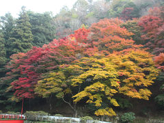 2010年播磨の紅葉③　塩田温泉　上山旅館の紅葉