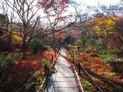 2010京都の紅葉　④宝筐院