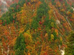 白神山地05　釣瓶落峠　青森‐秋田の県境越え　☆錦秋の紅葉美/際立って