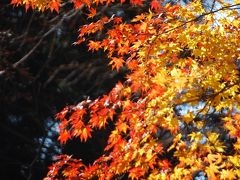 古都京都を訪ねての旅⑥清滝トレイル　3)高雄山・神護寺を訪問