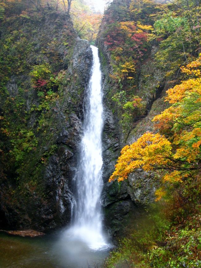 暗門の滝（第一の滝）<br />3つの滝からなる暗門滝（青森県中津軽郡西目屋村）は、駐車場やバス停から片道1時間（第三の滝のみならば片道30分）で行け、また、世界遺産緩衝地域内にあるため、観光地として人気がある。滝までの山道の脇には、ブナの原生林があり、観察のための道も整備されている。ただし、滝の直前で川べりを歩くなど、通行には危険を伴う。<br />（フリー百科事典『ウィキペディア（Wikipedia）』より引用）<br /><br />白神山地　暗門の滝歩道<br />世界遺産・白神山地の散策コースのひとつ。「アクアグリーンビレッジANMON」を起点に、ブナのや楓などの老樹が生い茂る渓流沿いの歩道を登り、白神山地で最も有名な名勝の一つ「暗門の滝」を目指す。所要時間は約2時間。白神山地とは、青森県南西部から秋田県北西部にまたがる13万haに及ぶ広大な山地帯の総称で、うち原生的なブナ林で占められている区域16971haが1993年12月に世界遺産として登録された。<br />所在地　青森県西目屋村<br />（　http://tabidoki.jrnets.co.jp/e07/spot/16239.html　より引用）　<br /><br />白神山地は、青森県の南西部から秋田県北西部にかけて広がる山地で、人の手が加えられていないブナの原生林からなる地域である。<br /><br />全体の面積は13万haでそのうち約1万7千ha(169.7km&#178;)がユネスコの世界遺産（自然遺産）に登録されている。青森県側の面積はそのうち74%の126.3km&#178;を占め、残る43.4km&#178;は秋田県北西部にあたる。なお、白神山地は法隆寺地域の仏教建造物、姫路城、屋久島とともに、1993年、日本で最初に世界遺産に登録された。<br />（フリー百科事典『ウィキペディア（Wikipedia）』より引用）<br /><br />白神山地については・・<br />http://www.shirakami-visitor.jp/<br />http://www.jomon.ne.jp/~misago/sirakami00.html<br /><br />白神公社・アクアグリーンビレッジ ＡＮＭＯＮについては・・<br />県立自然公園・暗門の滝、世界遺産・白神山地。2つの大自然の物語がここから始まります。<br />（http://www.kumagera.net/facillties/anmon.html　より引用）<br /><br />白神マタギ舎は、白神山地にいまでも残る「人と自然の調和の伝統」<br />皆様にお伝えするエコツァーガイドグループです。<br />http://homepage2.nifty.com/matagisha/FirstPage.html<br />