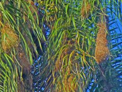 アルゼンチン１２　プエルト・イグアスの街並み３