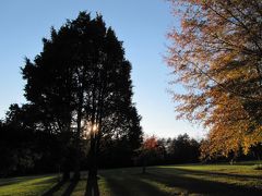 2010.紅葉のバージニア(8)**スワミ・サッチダ・ナンダ　ヨガ・ヴィレでの　素晴らしい秋の夕焼け。 後編