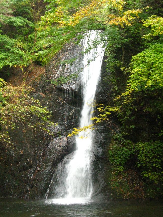 ガロウ峡 …GAROU.<br />涼をさそう憩いの場<br />天然秋田杉がイタヤカエデ、トチノキなどの中にあり、昼なお暗いうっそうとした渓谷です。<br />ガロウ大滝や白糸二段の滝を眺めながらの遊歩道は約600m、20分の森林浴コースです。夏の涼には最適。<br /><br />「藤かつら…」の銚子の滝と「フる雪か…」のガロウ大滝<br />ガロウ峡への道のひとつ手前、 ゆとりあ藤里 のある道に入り奥へ進むと、銚子の滝が見えてきます。<br />ここに、ひとつの歌碑があります。<br />藤かつら ; くりかへし見る ; いわがねに ; かかるも高き; 滝のしらいと<br /><br />これは江戸後期の作家（紀行家） 菅江真澄 の作で、藤里町では彼が訪ねた町内の景勝地など６ヶ所に歌碑を建立しています。ガロウ大滝にもその一つがあります。<br /><br />フる雪か; 花かあらぬか ; 山風に; さそわれてち0; 滝のしら泡<br />大きく水しぶきをあげる、男性的なガロウ大滝と、細く流れ落ちる、女性的な銚子の滝。ふたつの滝の雰囲気の違いが、この二首からも感じられます。<br />（地名・和歌の一部の漢字表記が不可能なため、カタカナに置き換えてあります。）<br />（http://business4.plala.or.jp/sirakami/miru/f-8.htm　より引用）<br /><br />藤里町（ふじさとまち）は秋田県の北端に位置する町。<br />1955年（昭和30年）3月31日、藤琴村と粕毛村が合併。1963年（昭和38年）11月1日町制施行。<br />白神山地の南側に位置し、町の北西部県境にある白神山地は世界遺産に登録され、登録区域の約4分の1（秋田県側の全て）が藤里町の町域内にある。米代水系の粕毛川と藤琴川が合流する地点に町があるが、鉄道路線や国道、主要地方道などはない。山：白神山地 - 駒ヶ岳、二ッ森　河川：藤琴川、粕毛川<br />（フリー百科事典『ウィキペディア（Wikipedia）』より引用）<br /><br /><br />藤里町については・・<br />http://www.town.fujisato.akita.jp/<br />http://business4.plala.or.jp/sirakami/miru/index.html<br />http://www.akita-train.jp/shirakami/trekking/<br /><br />白神山地については・・<br />http://www.shirakami-visitor.jp/<br />http://www.jomon.ne.jp/~misago/sirakami00.html<br />