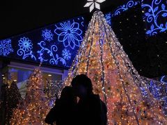 小さな旅　新宿イルミネーション　Shinjyuku Illumination/A Merry Christmas!　