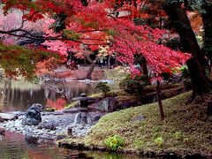東京の庭園に行こう。秋の小石川後楽園