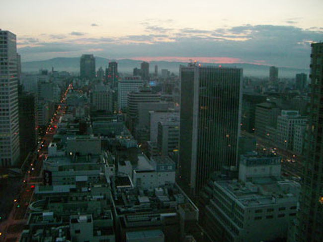 神戸での用事のついでに、大阪のセントレジスへ初めて泊まりました。<br />高層階の部屋から夜景や朝焼けを眺めながらお茶をいただいたり、テレビを見ながらお風呂に浸かったり、ひとりでのんびりしました。<br />スタッフの方の応対がとても丁寧で、快適に過ごせました。