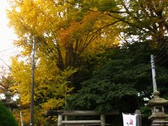 いわき湯本温泉　銀杏紅葉彩る街で　☆温泉神社・さはこの湯・童話館