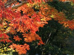 ☆冬の東京散歩☆(2)【浜離宮恩賜庭園】