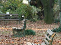 ☆冬の東京散歩☆(4)【小石川植物園】