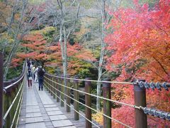 紅葉の花貫渓谷