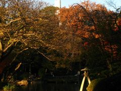 もみじ狩りは有栖川宮記念公園で　☆港区南麻布の閑静なひろば