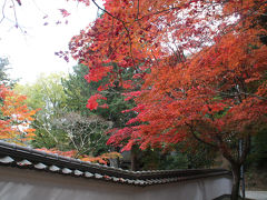 2010年播磨の紅葉⑤　五峰山光明寺