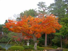 2010年11月　北陸グルメを求めて③　～「金沢は今日も冷たい雨だった」の巻～