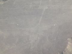 L.A経由、メキシコ + ペルー（マチュピチュ・ナスカ）　No.6