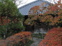 今年最後の紅葉を見に！浜寺公園。