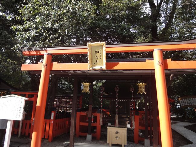 京都一日観光です。<br />時間がないので初めてタクシーで移動するという贅沢な弾丸旅でしたが<br />だいぶ時間を効率的に使えました!<br />宿泊は京都三条にある「加茂川館」です。