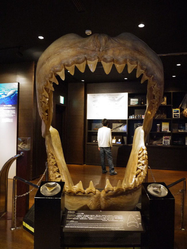 沖縄美ら海水族館で、ヴォルデモートと顔文字に出会いました。（笑）<br /><br />なお、このアルバムは、ガンまる日記：ヴォルデモートと顔文字[http://marumi.tea-nifty.com/gammaru/2010/12/post-5d8f.html]とリンクしています。詳細については、そちらをご覧くだされば幸いです。