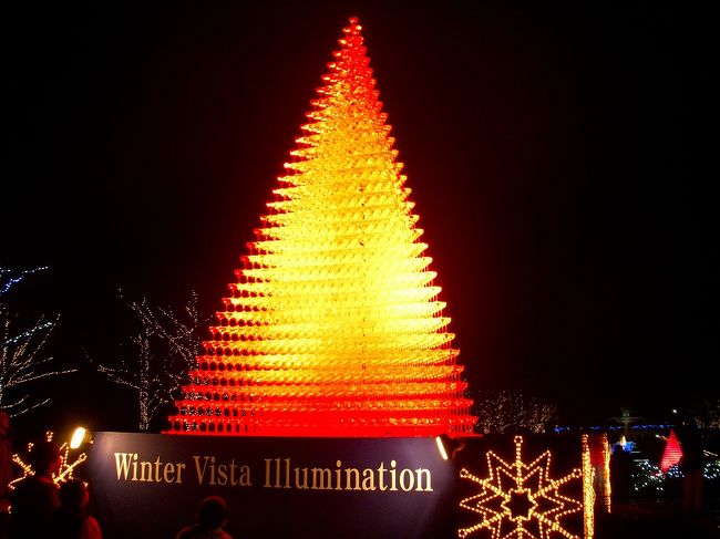 2010年12月　Winter Vista Illumination　in　国営昭和記念公園