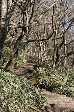 2010暮、韓国紀行22(14/25)：12月22日(2)：済州島・トケビ道路見学後、漢拏山登山口へ