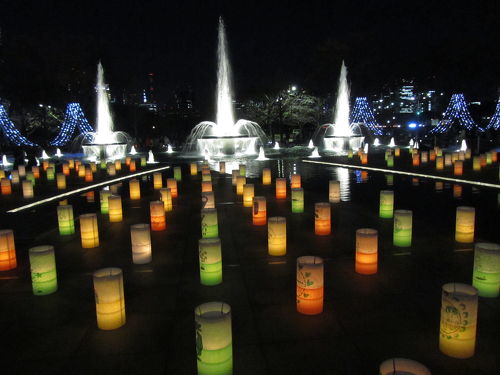 紫苑 皇居外苑 和田倉噴水公園の桜 Cherry blossoms in Wadakura