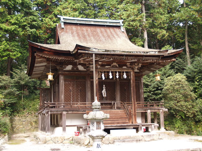 　滋賀県野洲市大篠原に鎮座する大笹原神社（おおささはらじんじゃ）は須佐之男命（すさのおのみこと）、櫛稲田姫命（くしなだひめ）ほか五神を祀る。創建はは寛和2年（986年）で、越知諸実が社領を寄進し、社殿を造営したと伝えられている古社である。<br />　大笹原神社本殿などは小さな社で、どこにでもある村の鎮守さまといった感じである。こんな小さな社殿でも国宝なのかという新鮮な感じになれた。境内には寄倍（よるべ）の池と呼ばれる底なし沼があるが、この地域の農業用水を司る鎮守であったのであろう。この地域は良質のもち米が穫れ、鏡餅発祥の由来から、鏡餅の元祖を祀った「鏡の宮」が境内に篠原神社として建てられている。実は、奈良円成寺には境内社篠原神社本殿よりももっと小さなミニチュアと見紛うばかりの春日造の社殿でも国宝はあった。<br />　滋賀県野洲市には同じく国宝社殿を持つ御上神社も鎮座しており、国宝巡りを楽しんだ。<br />（表紙写真は大笹原神社本殿）