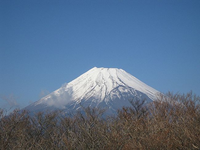 越前岳（愛鷹山　あしたかやま）に毎日新聞旅行で日帰り登山に行ってきました。歩行時間（昼食時間含）は、約4時間でした。晴天で雪はなく、アイゼン不要でした。
