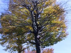 町田・三輪の里山を歩く