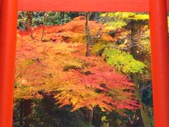 古都晩秋06　聖域/下鴨神社に参詣　☆糺の森は紅葉さかり