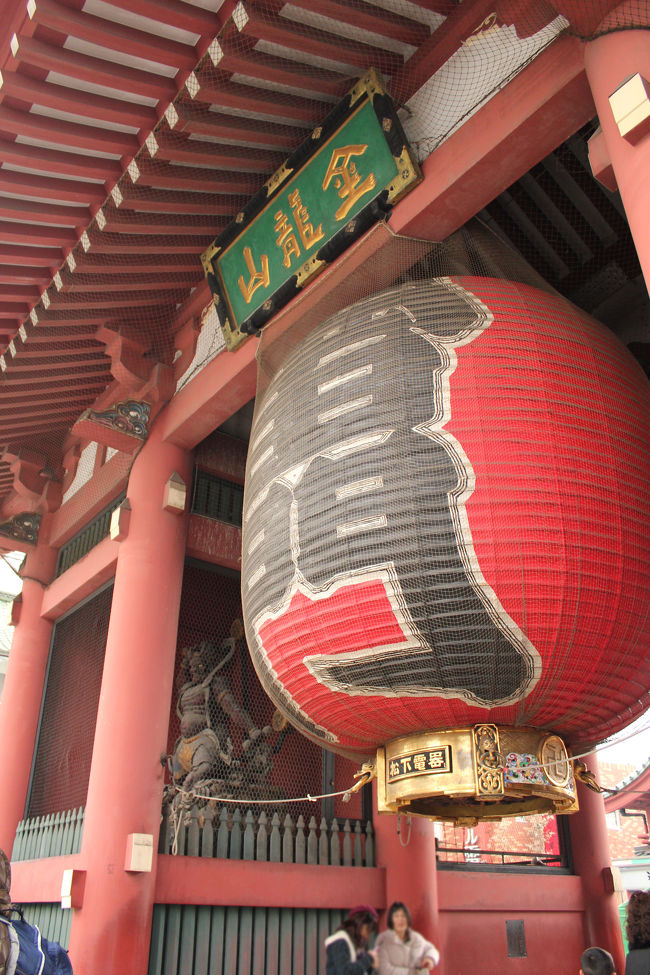 用事ついでに無理やり観光してきましたよ。の旅。<br /><br />ついに念願の浅草へ。<br />時間が無くて予習をしていなかったので、人力車へ乗って観光しました。<br />ちょっと高いけど、ガイドブックに載っていない見所などを説明してもらえるのでこんな時はありがたい存在。<br />浅草駅はいくつかあるけど、つくばエクスプレスの浅草駅だけは離れた所にあって、メイン観光地からは離れているので、隅田川よりの浅草駅を利用するのがベストですね。<br /><br />浅草の他に、国会議事堂と靖国神社を見に行ってきました。<br />じっくりとは回れなかったけどテレビでよく見る光景がみれて大満足でした(^。^)<br /><br />★旅のしおり★<br />人力車観光(30分コース/2人8000円)⇒雷門⇒仲見世通り⇒浅草寺⇒浅草花やしき⇒浅草演芸ホール⇒喫茶店でお茶<br />浅草観光所要時間:2時間(休憩含む)