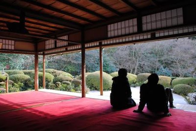 ただただのんびり京都を散策。<br />松尾（鈴虫寺）、一乗寺界隈（詩仙堂）、嵐山（天龍寺）を中心に楽しみました。