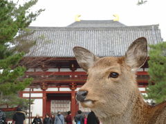 アイラブ仏像めぐり　あけましておめでとう奈良