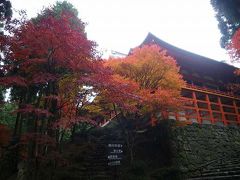 紅葉の秋～ケーブルカーとロープウェイでめぐる比叡山～