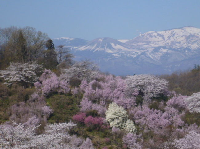 福島市が世界に誇る花の名所。桜だけではないので桜の名所ではありません。<br />今年も継続的にとり続けていきます。<br />表紙の写真は去年の写真から今年の物に張り替えました。