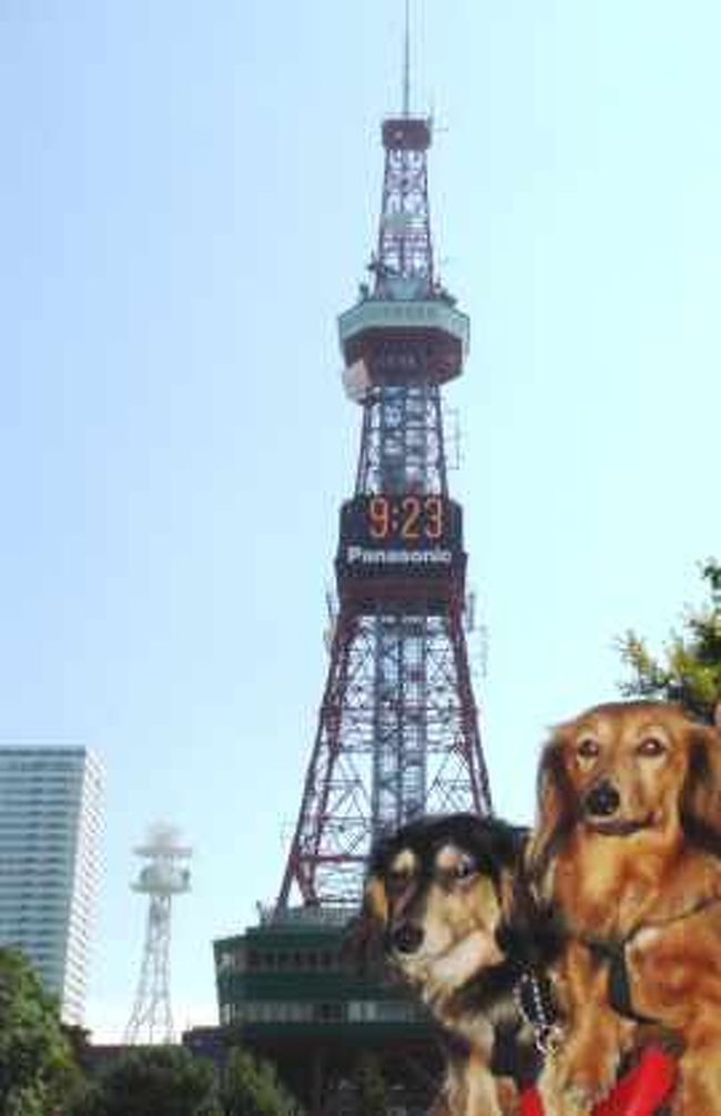 札幌 小樽 犬連れ旅行 北海道の旅行記 ブログ By きこさん フォートラベル